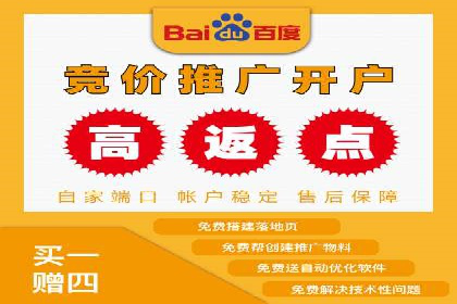 百度推广的秘诀：以某电商平台的成功经验为例
